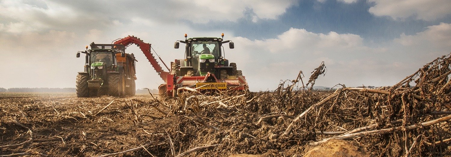 Aardappelen rooien vers van het veld in West-Vlaanderen | Delofresh | Ferme Taillieu