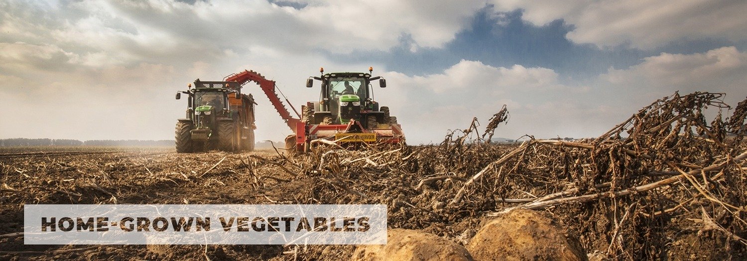 Homegrown fresh potatoes| French fries from the grower  | Delofresh | Ferme Taillieu