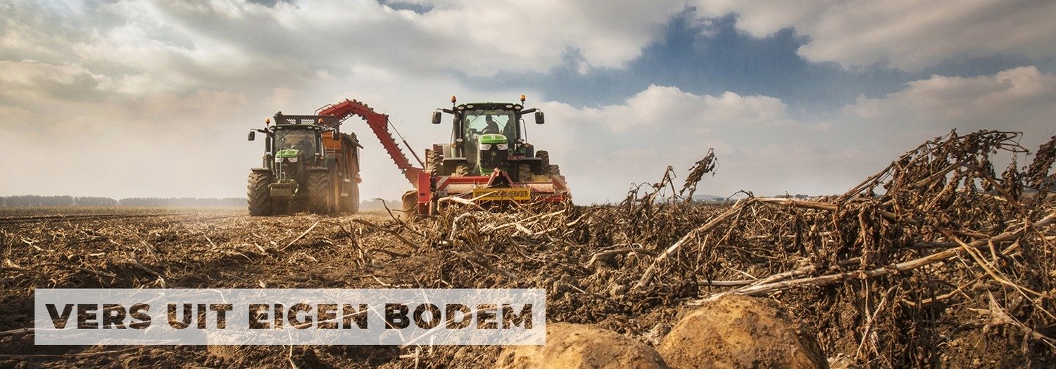 Vers uit eigen bodem | frietjes van de kweker | Delofresh | Ferme Taillieu